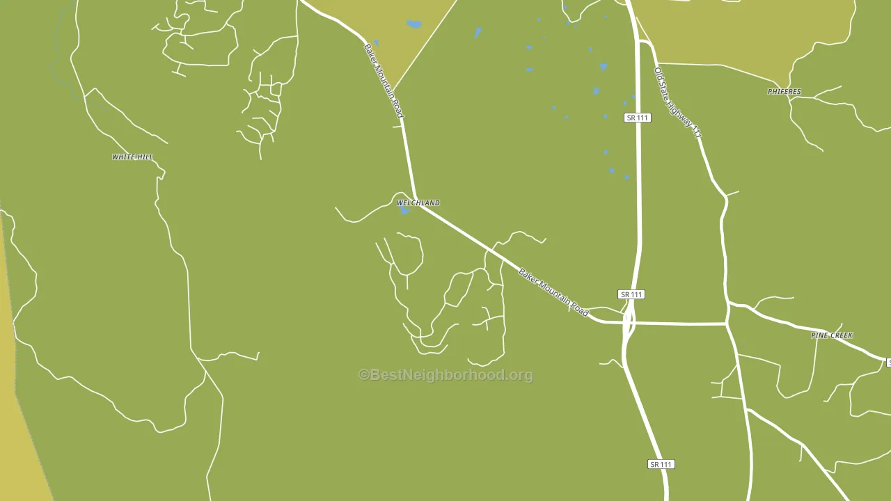 Welchland, TN block-group voter-turnout map