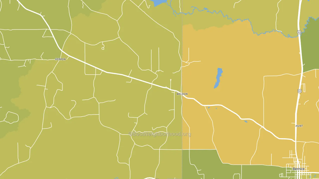 Weldon, LA block-group voter-turnout map