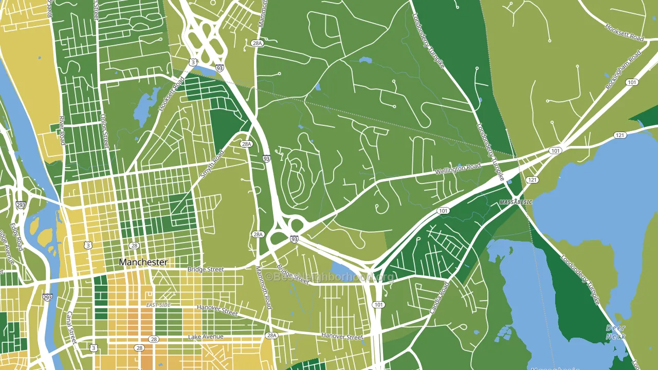 Wellington, Manchester, NH block-group voter-turnout map