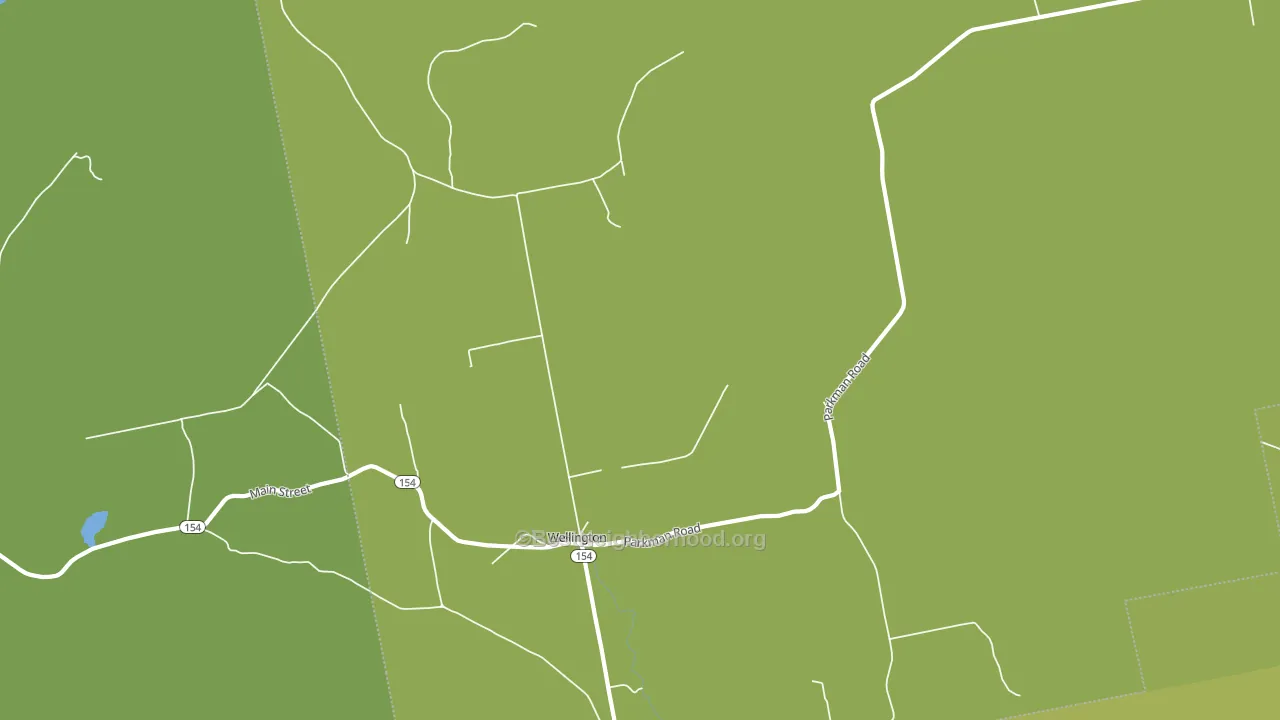 Wellington, ME block-group voter-turnout map