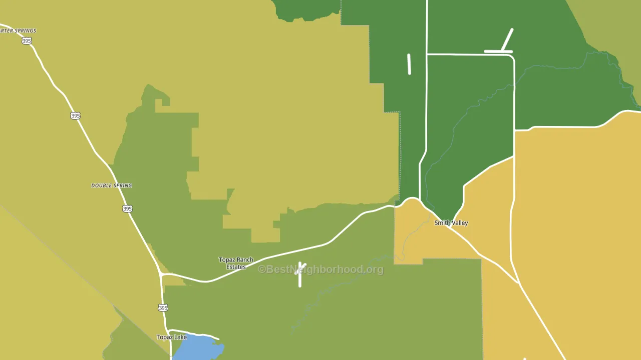 Wellington, NV block-group voter-turnout map