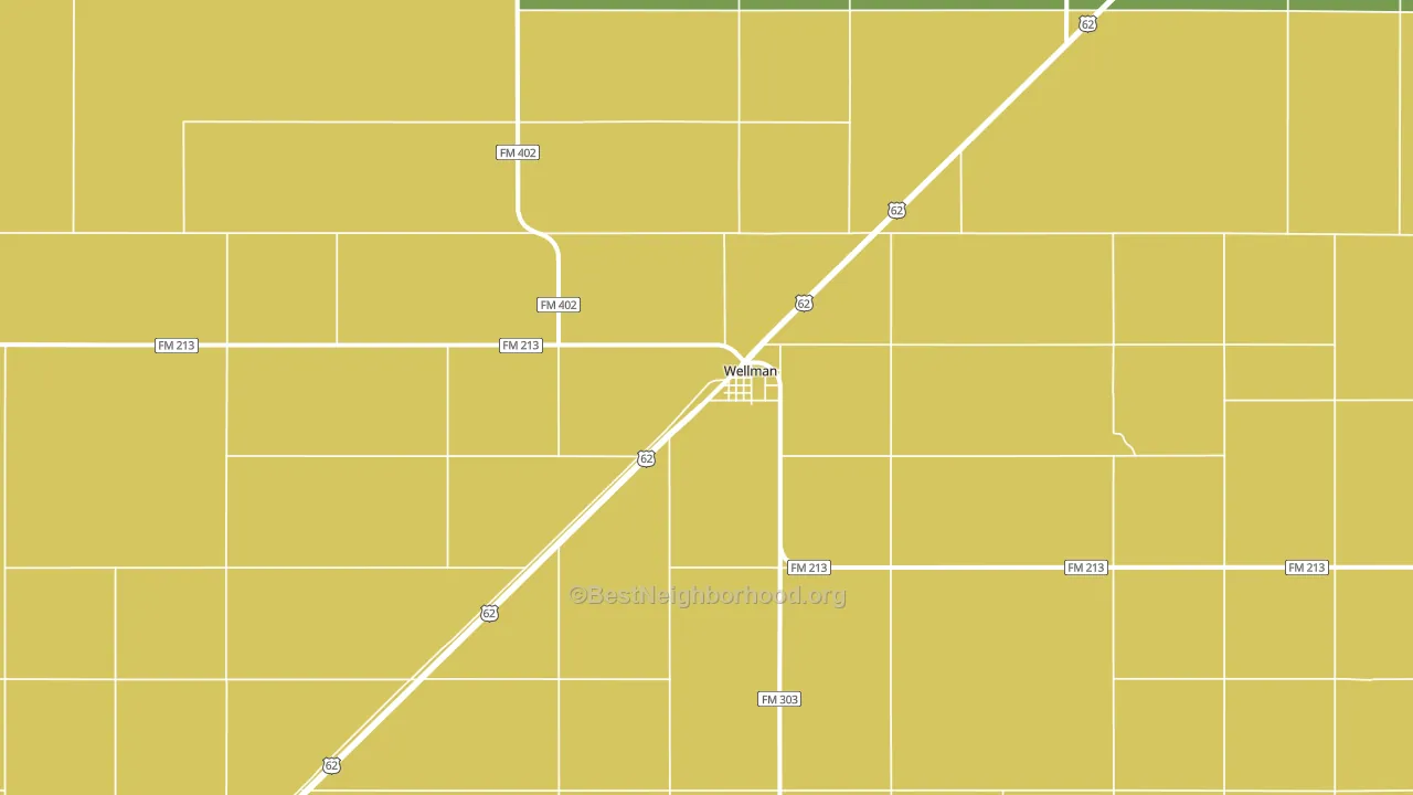 Wellman, TX block-group voter-turnout map