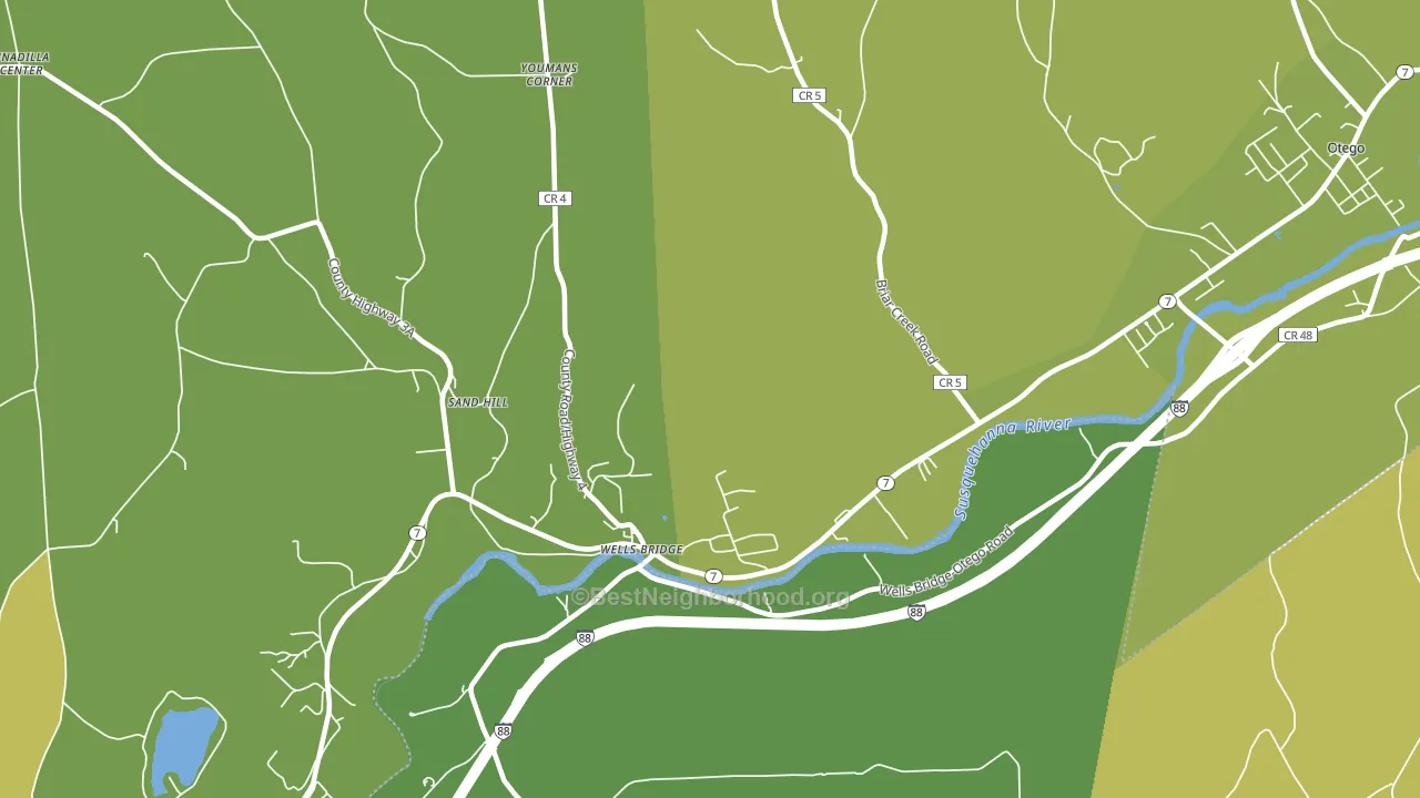 Wells Bridge, NY block-group voter-turnout map