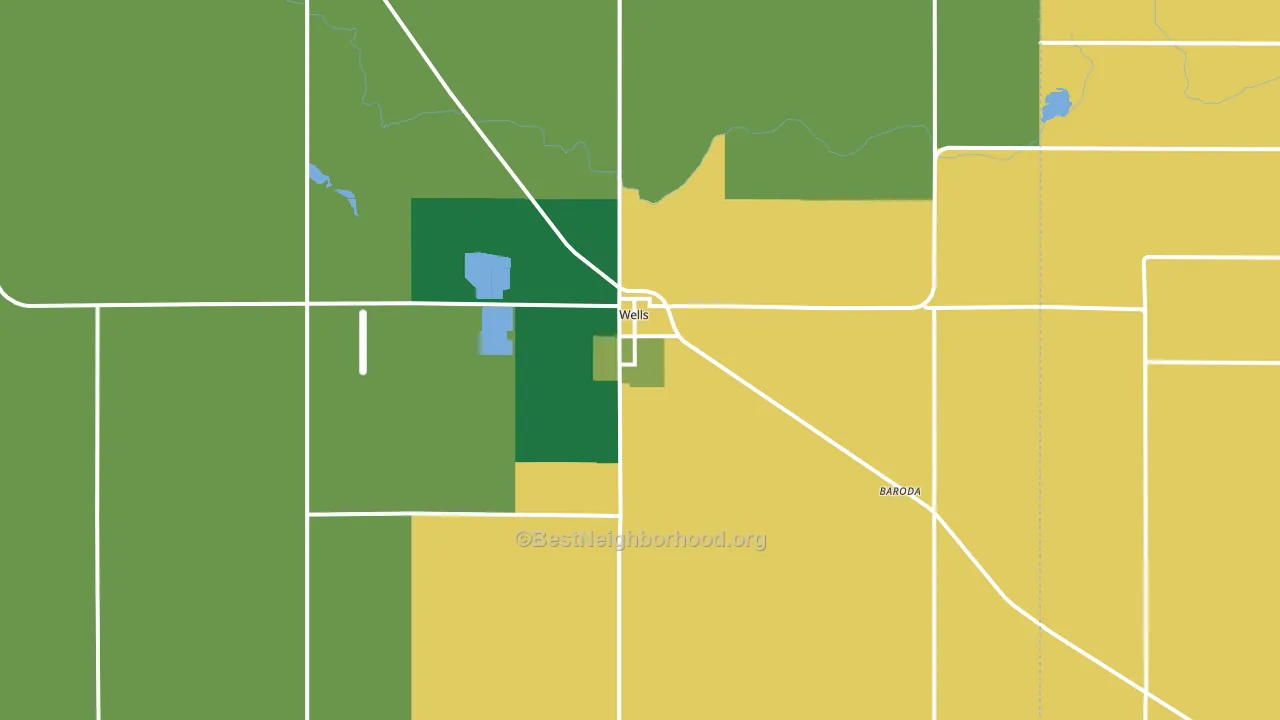Wells, MN block-group voter-turnout map