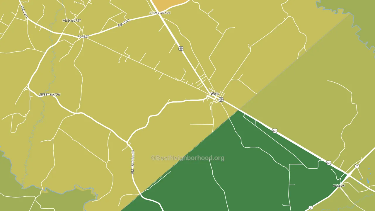 Wells, TX block-group voter-turnout map