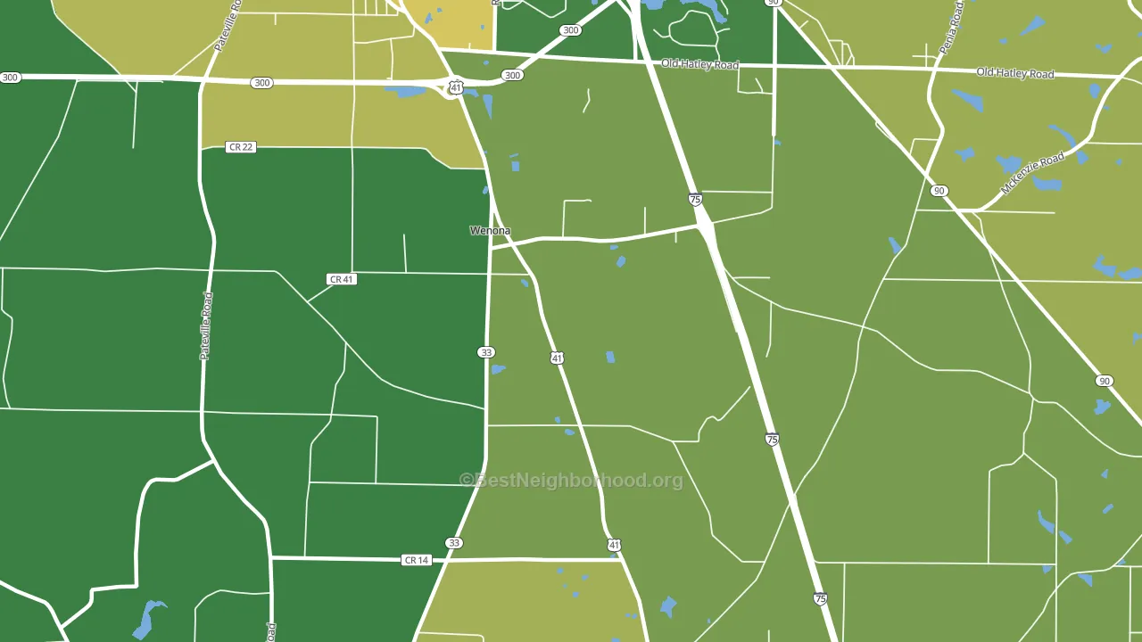Wenona, GA block-group voter-turnout map