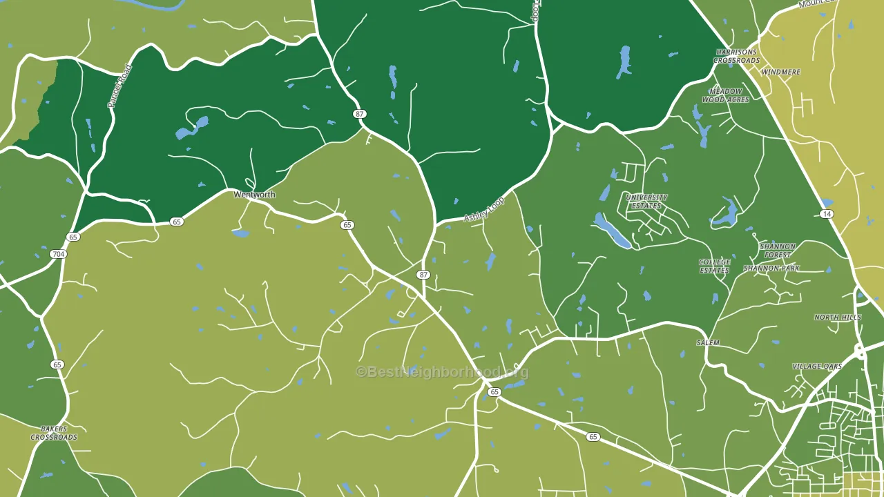 Wentworth, NC block-group voter-turnout map