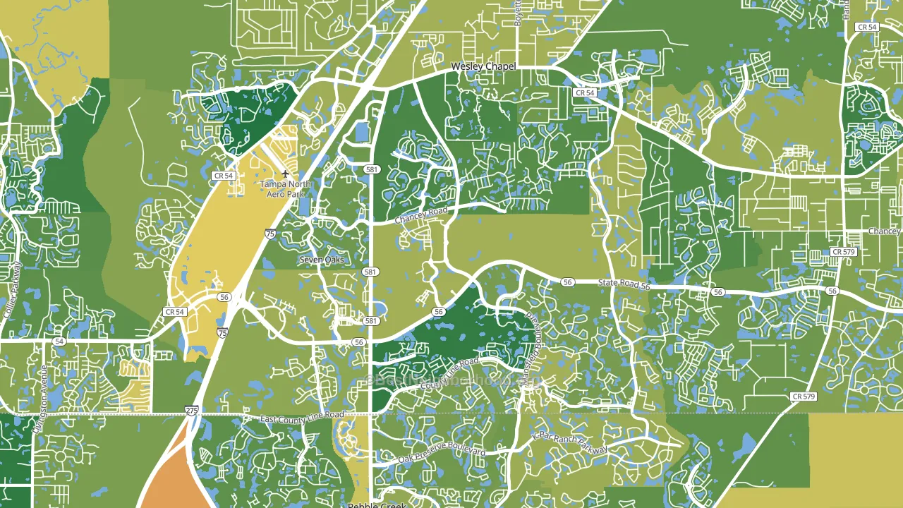 Wesley Chapel, FL block-group voter-turnout map