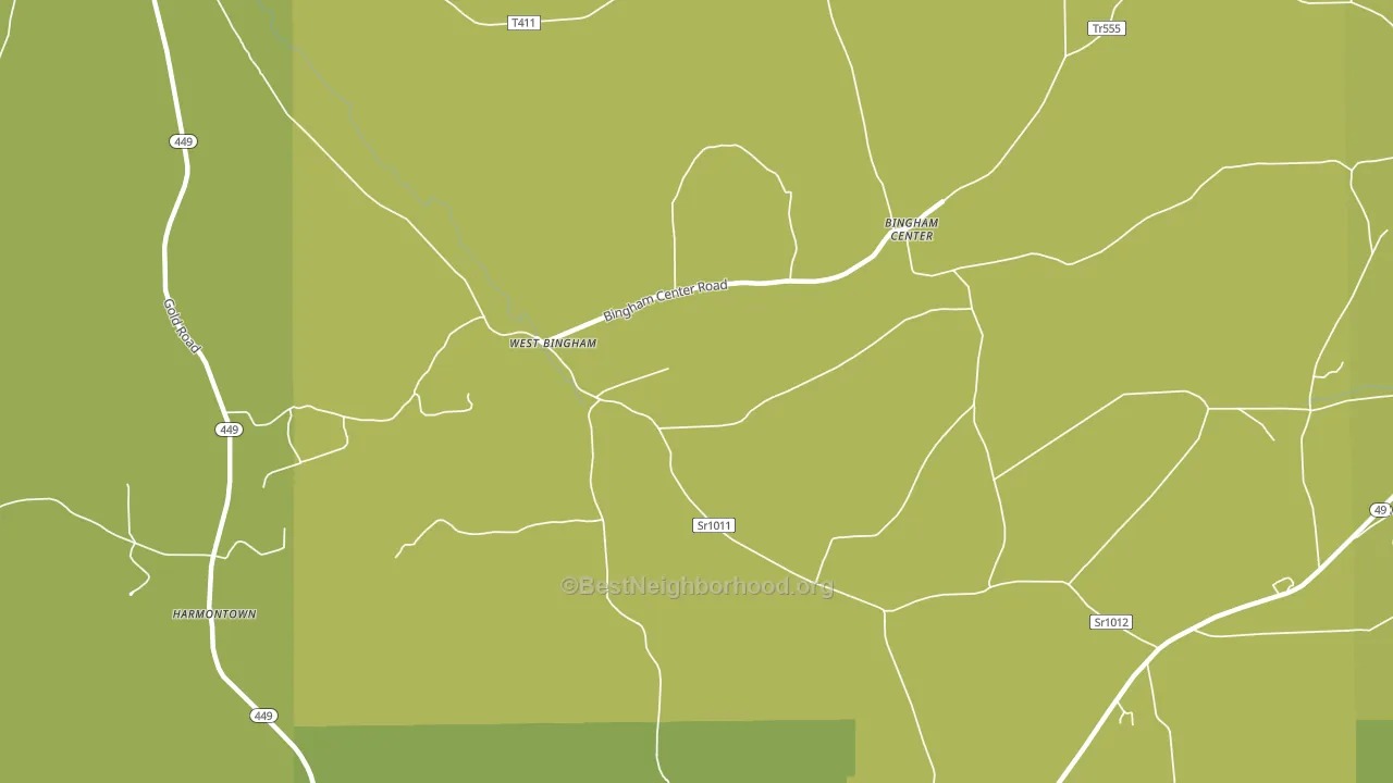 West Bingham, PA block-group voter-turnout map
