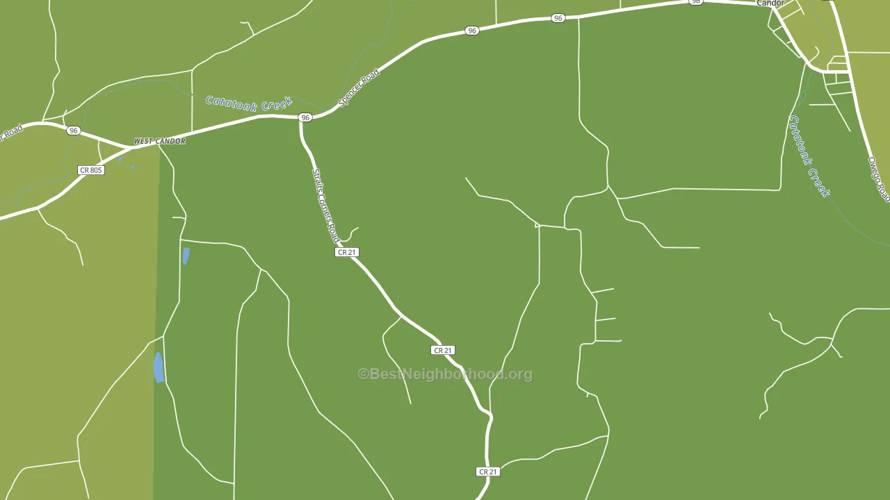West Candor, NY block-group voter-turnout map