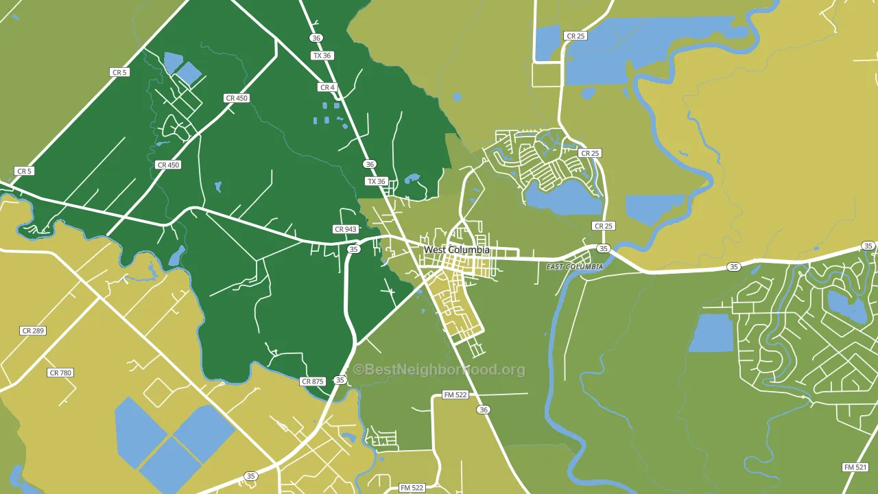 West Columbia, TX block-group voter-turnout map