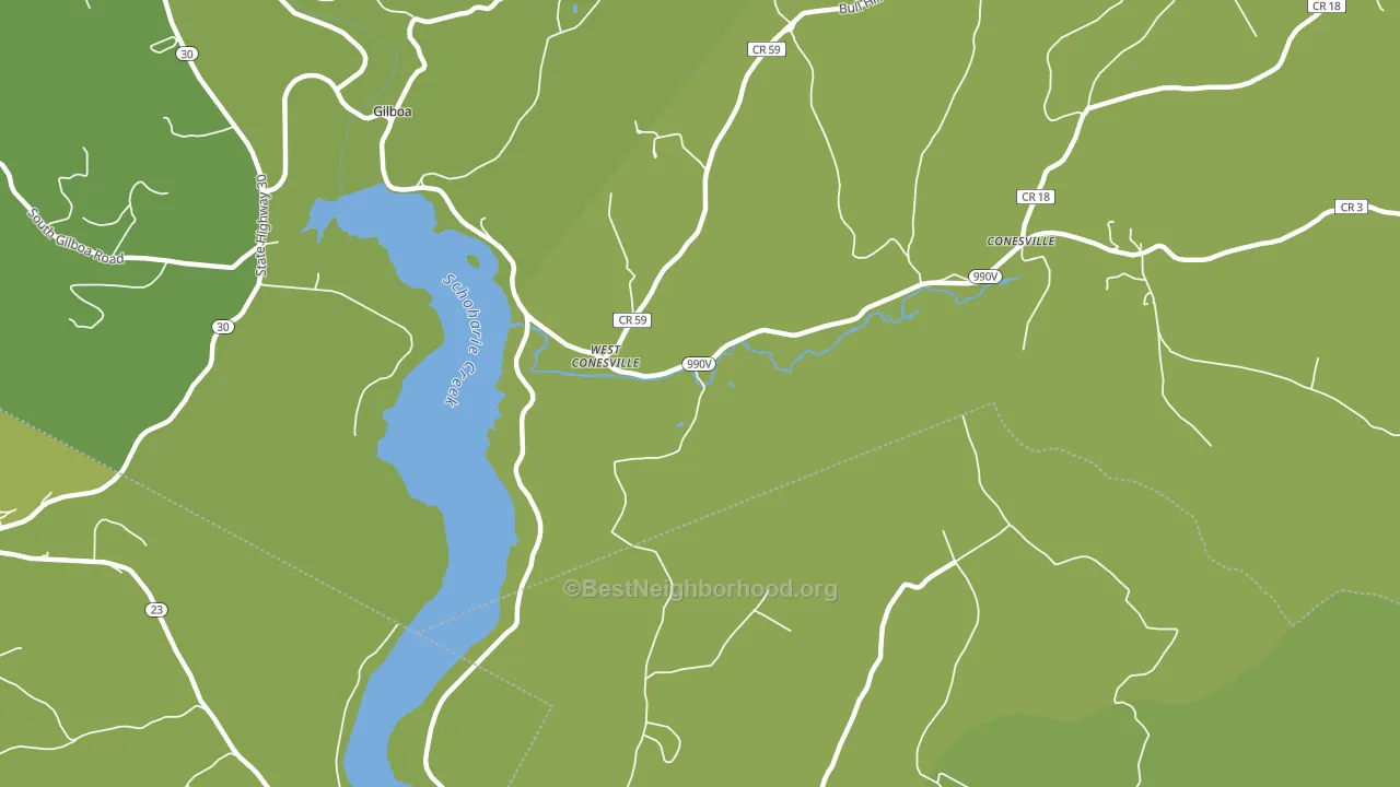 West Conesville, NY block-group voter-turnout map