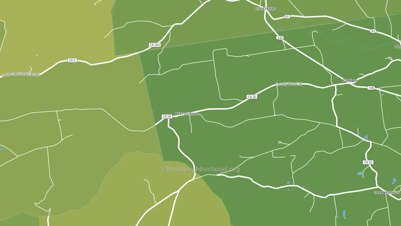 West Durham, NY block-group voter-turnout map