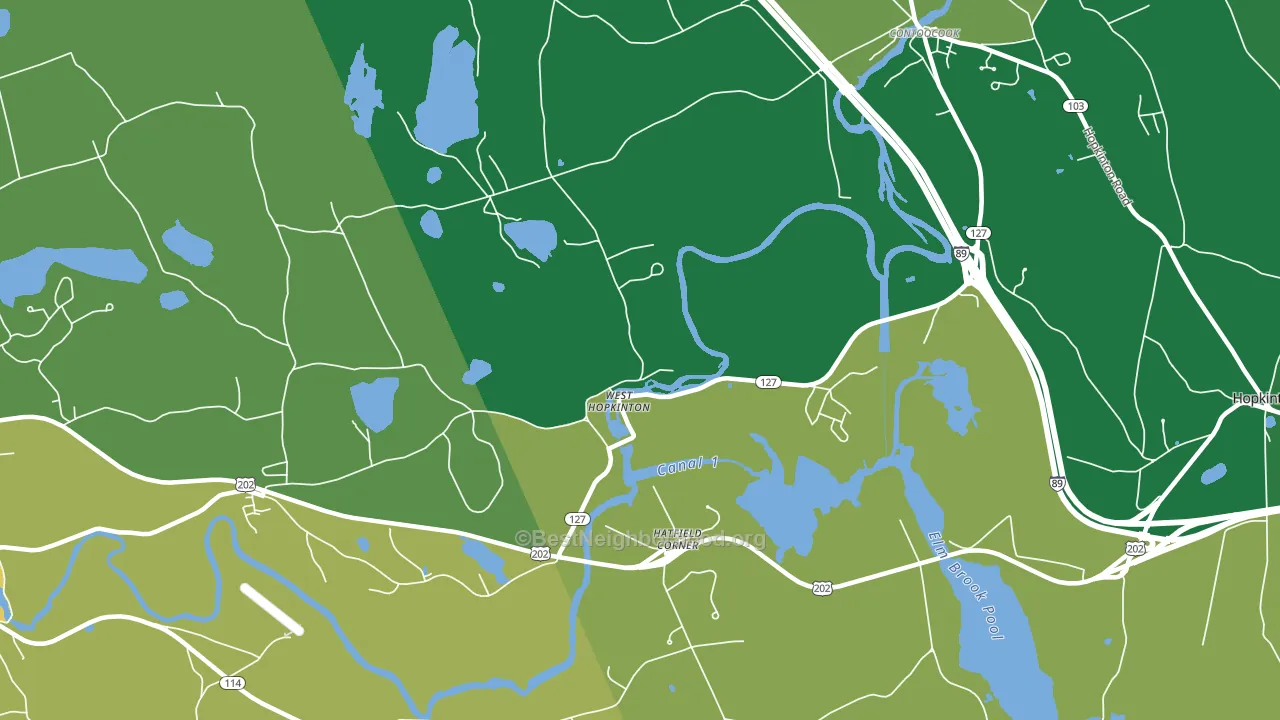 West Hopkinton, NH block-group voter-turnout map