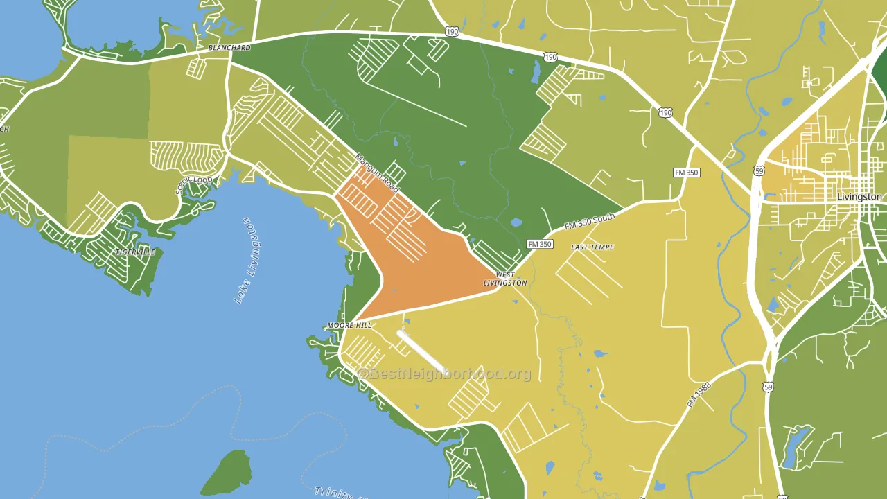 West Livingston, TX block-group voter-turnout map