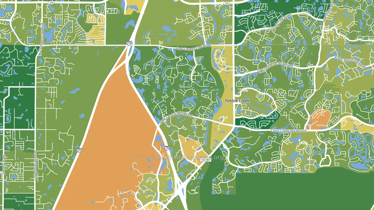 West Meadows, Tampa, FL block-group voter-turnout map
