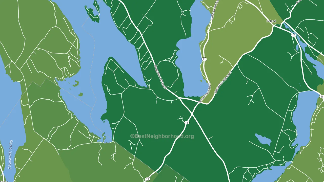 West Poland, ME block-group voter-turnout map
