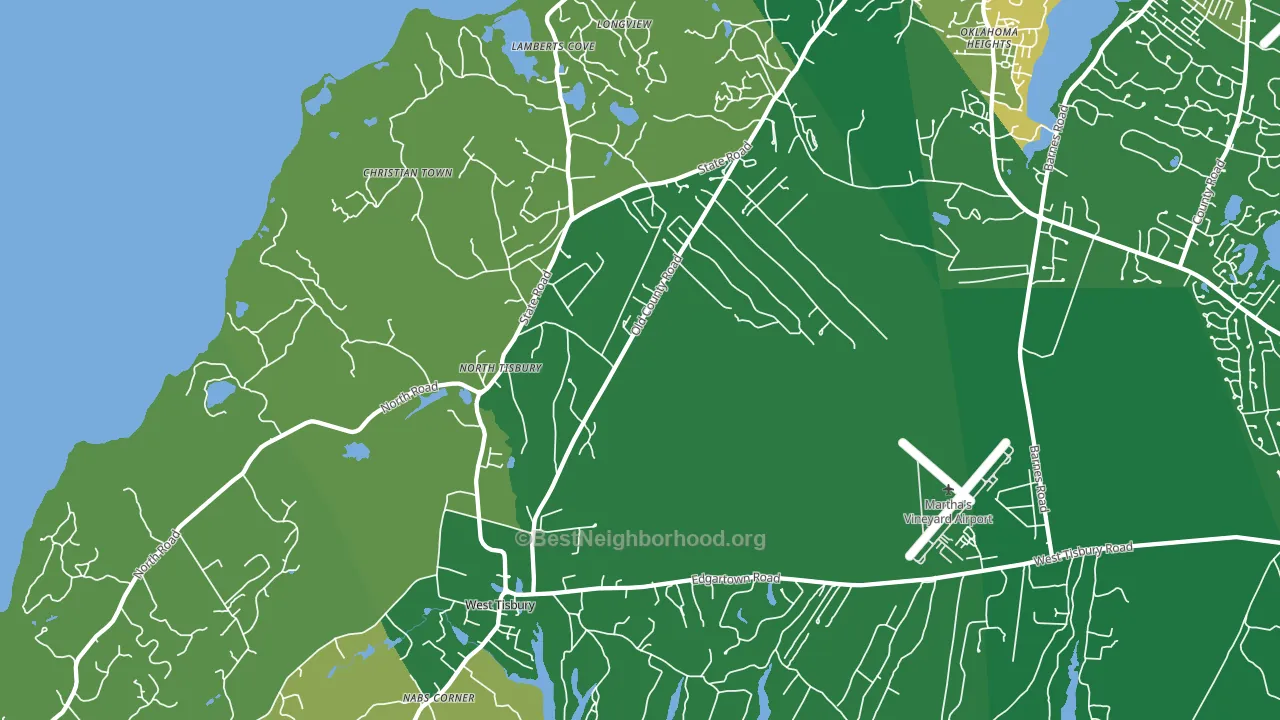 West Tisbury, MA block-group voter-turnout map