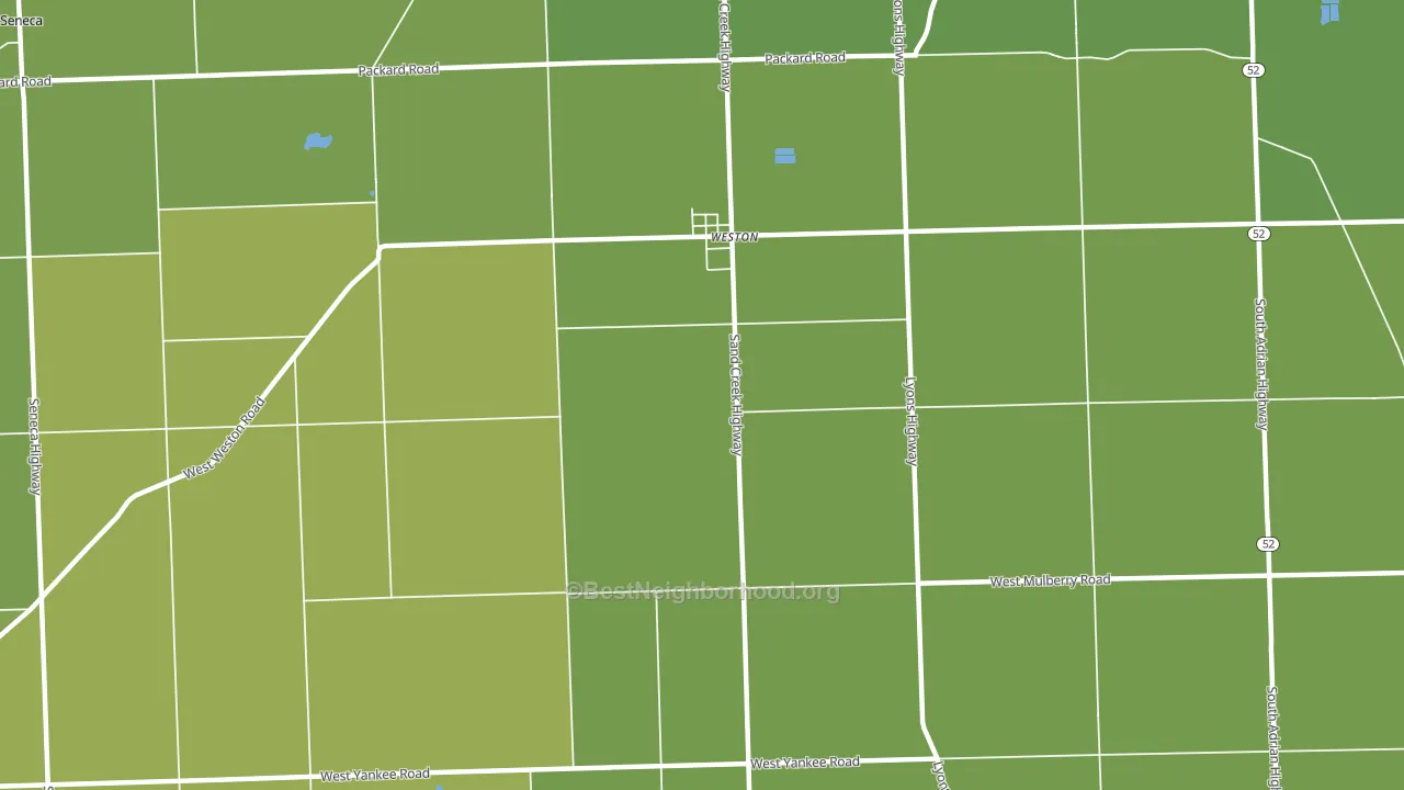 Weston, MI block-group voter-turnout map