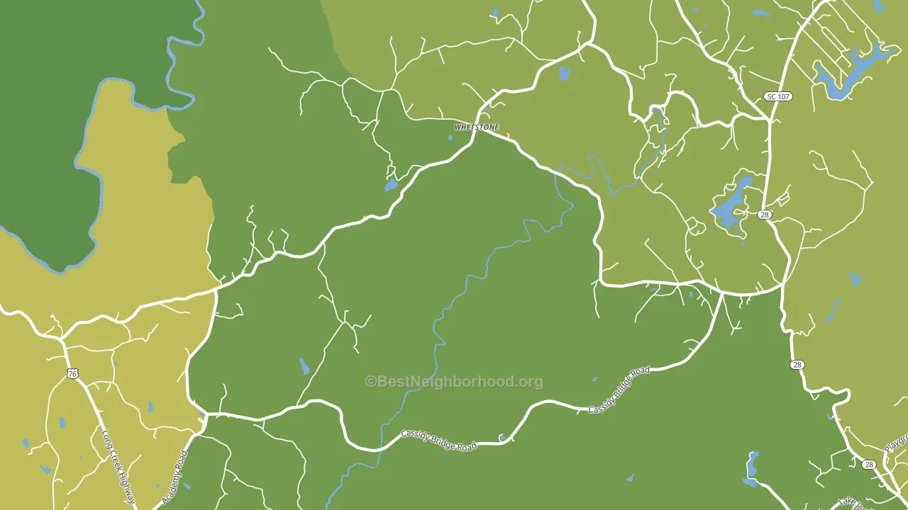 Whetstone, SC block-group voter-turnout map