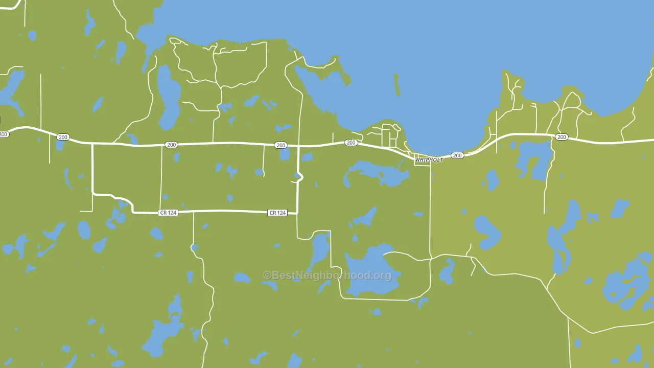 Whipholt, MN block-group voter-turnout map