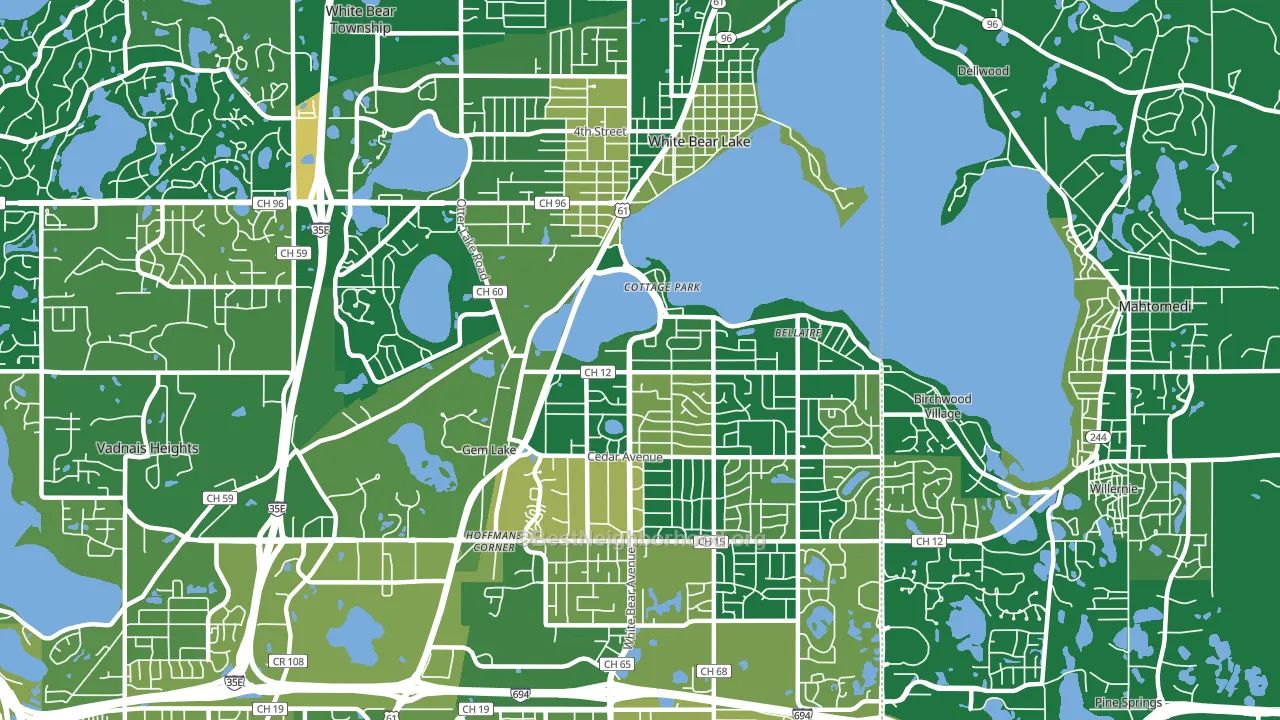 White Bear Lake, MN block-group voter-turnout map
