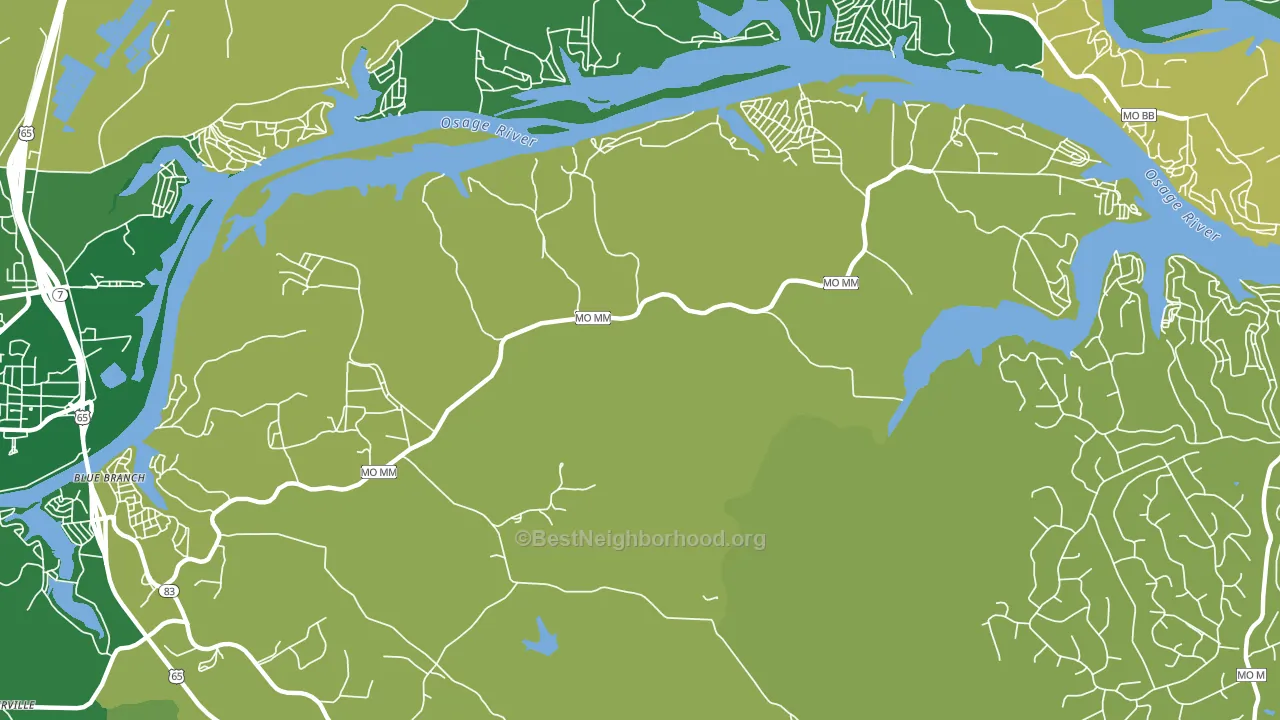 White Branch, MO block-group voter-turnout map