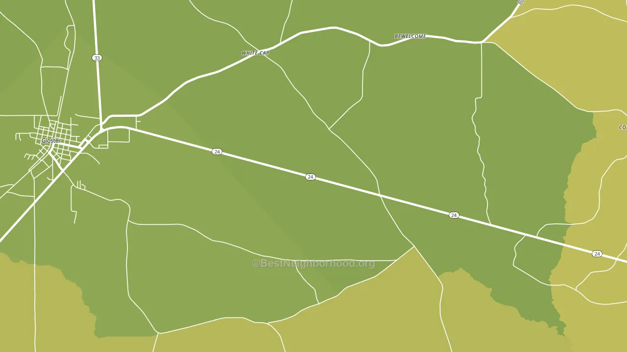 White Cap, MS block-group voter-turnout map