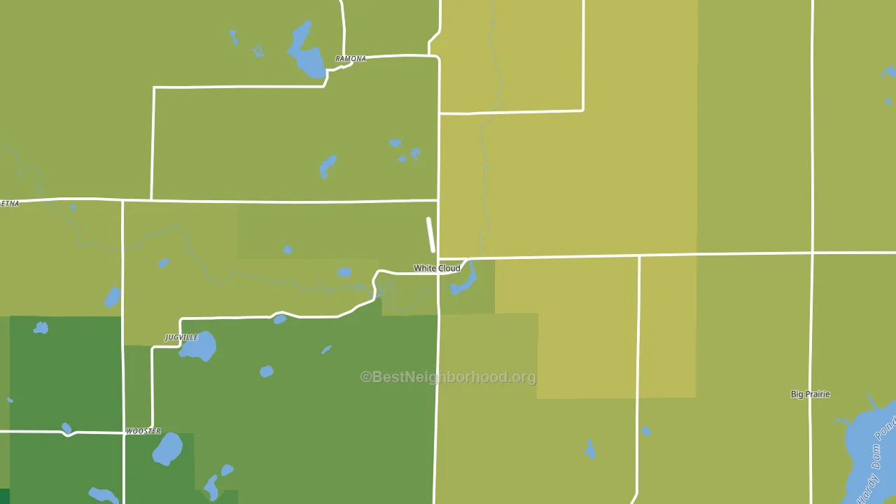 White Cloud, MI block-group voter-turnout map