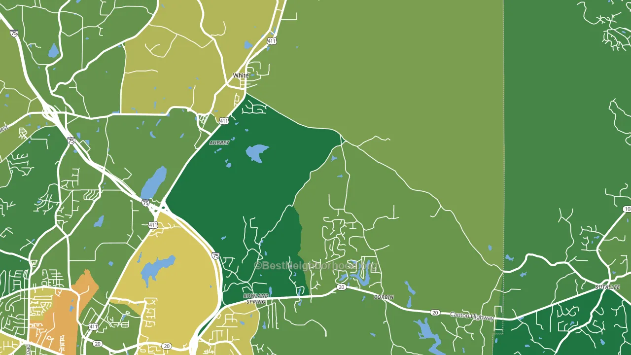 White, GA block-group voter-turnout map