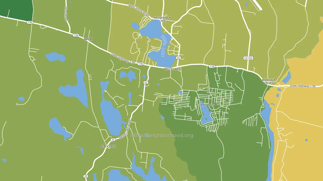 White Lake, NY block-group voter-turnout map