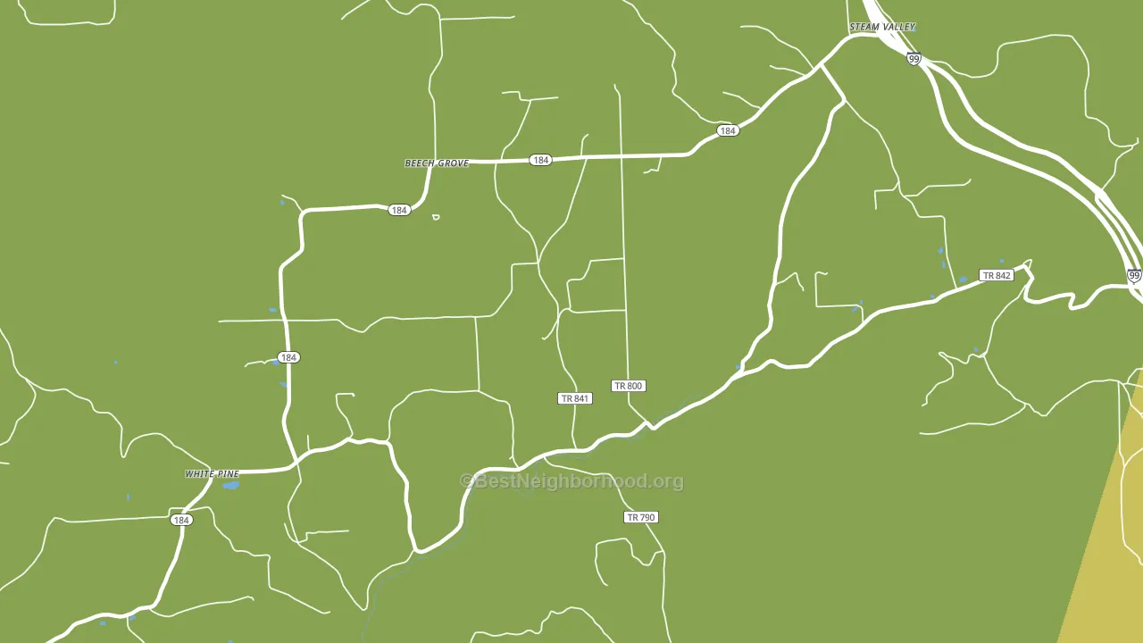 White Pine, PA block-group voter-turnout map