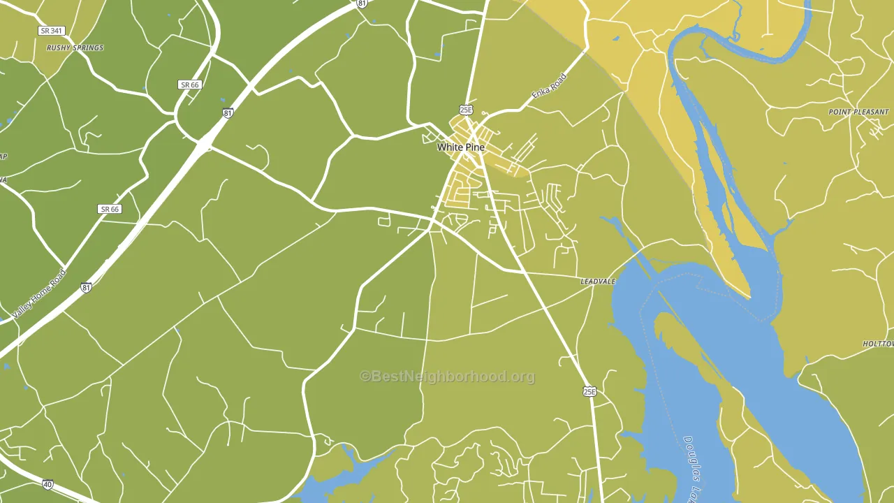 White Pine, TN block-group voter-turnout map