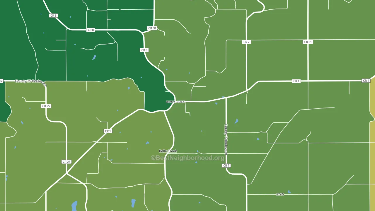 White Rock, MN block-group voter-turnout map