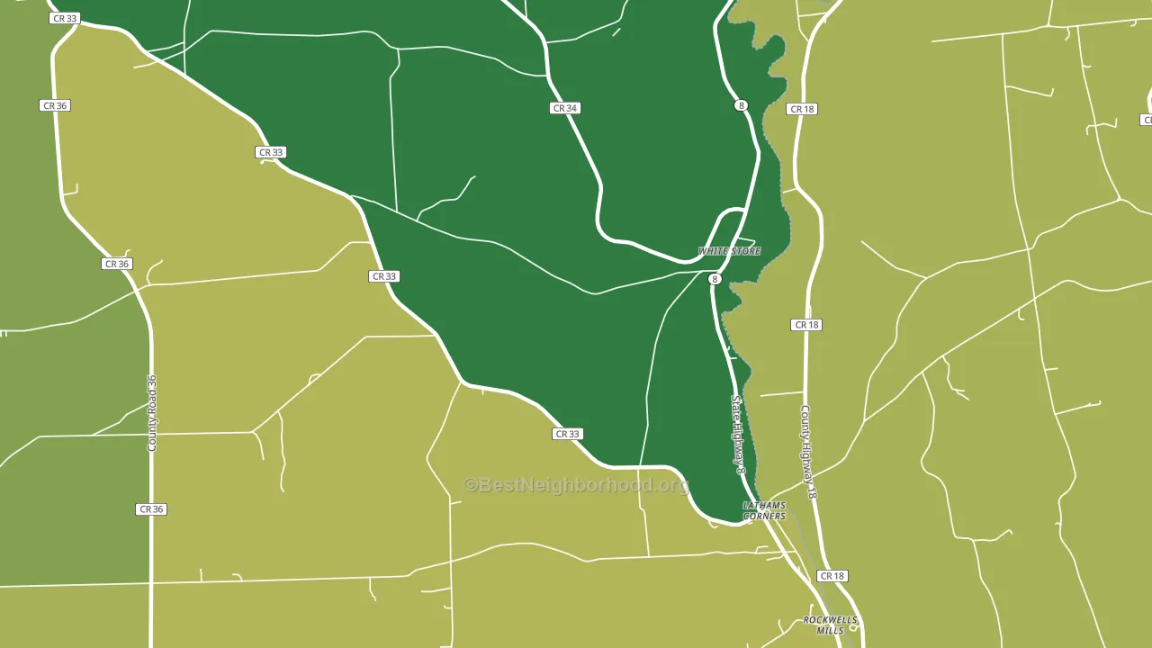 White Store, NY block-group voter-turnout map