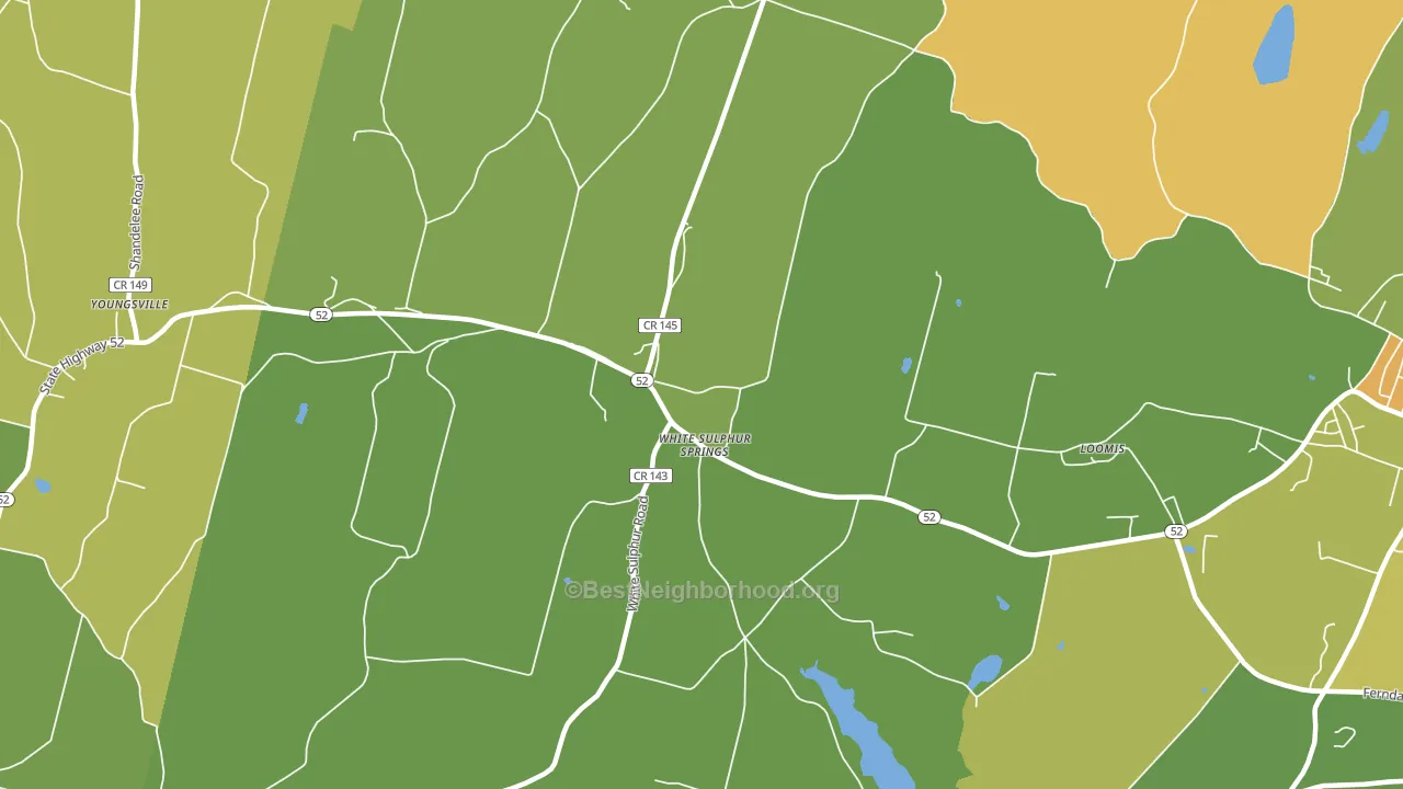 White Sulphur Springs, NY block-group voter-turnout map