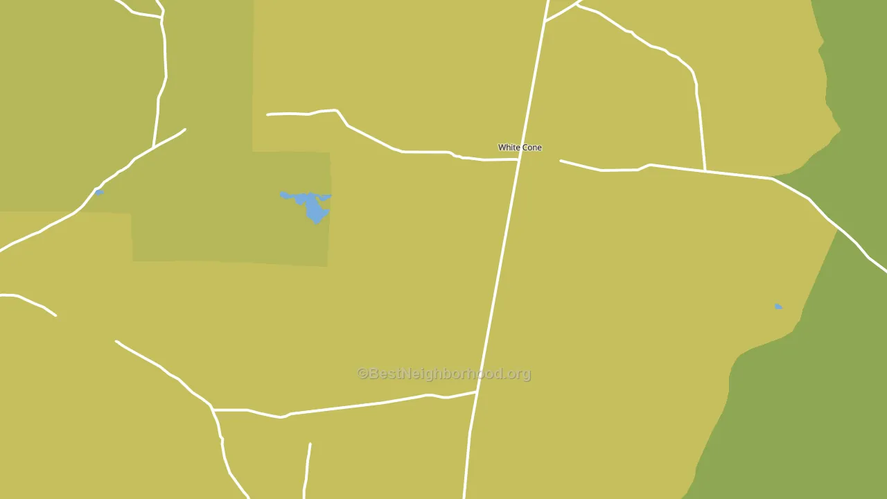 Whitecone, AZ block-group voter-turnout map