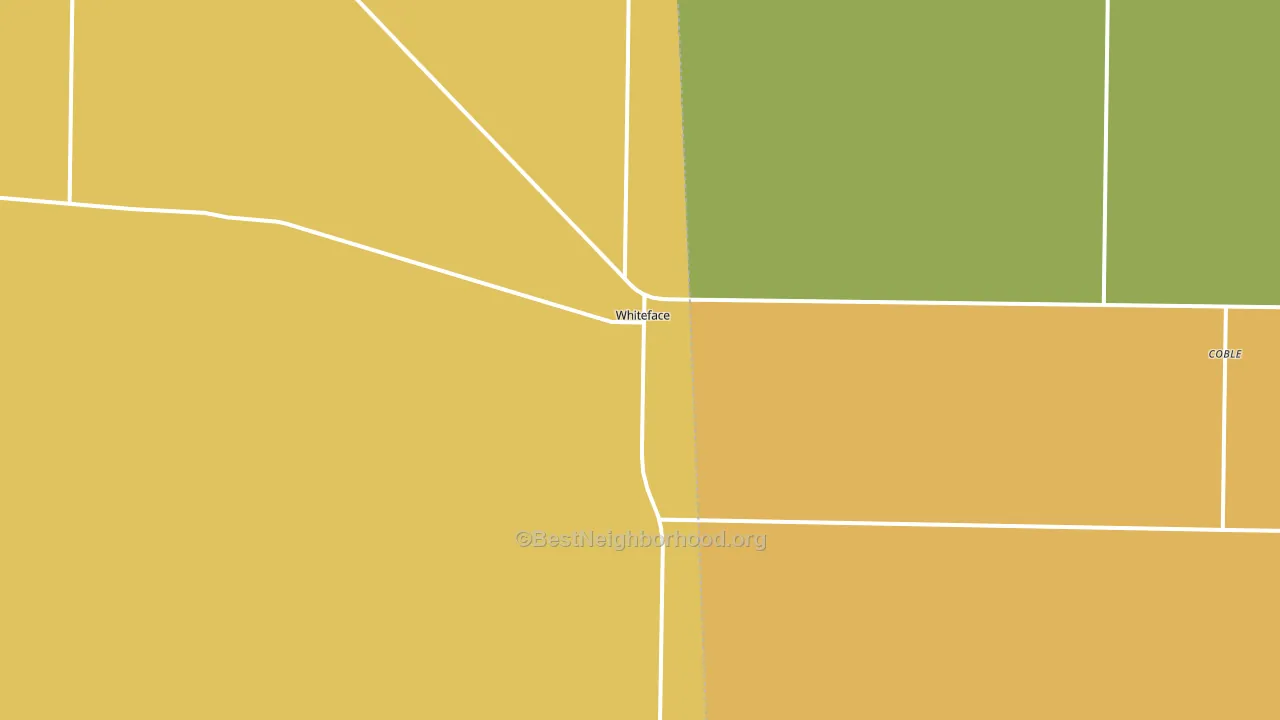 Whiteface, TX block-group voter-turnout map