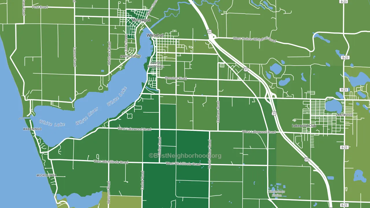 Whitehall, MI block-group voter-turnout map