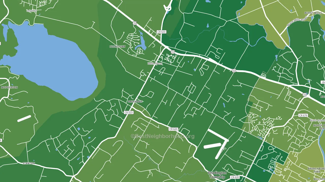 Whitehouse Station, NJ block-group voter-turnout map