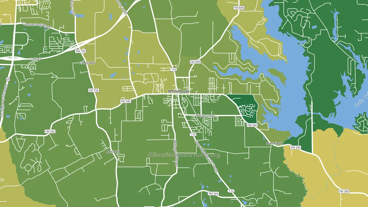 Whitehouse, TX block-group voter-turnout map