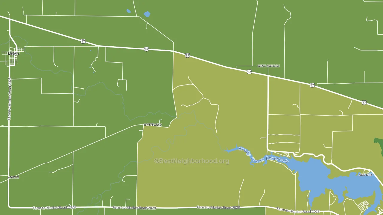 Whiteland, TX block-group voter-turnout map