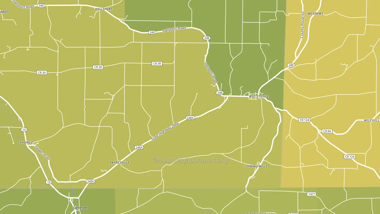 Whitesville, NY block-group voter-turnout map