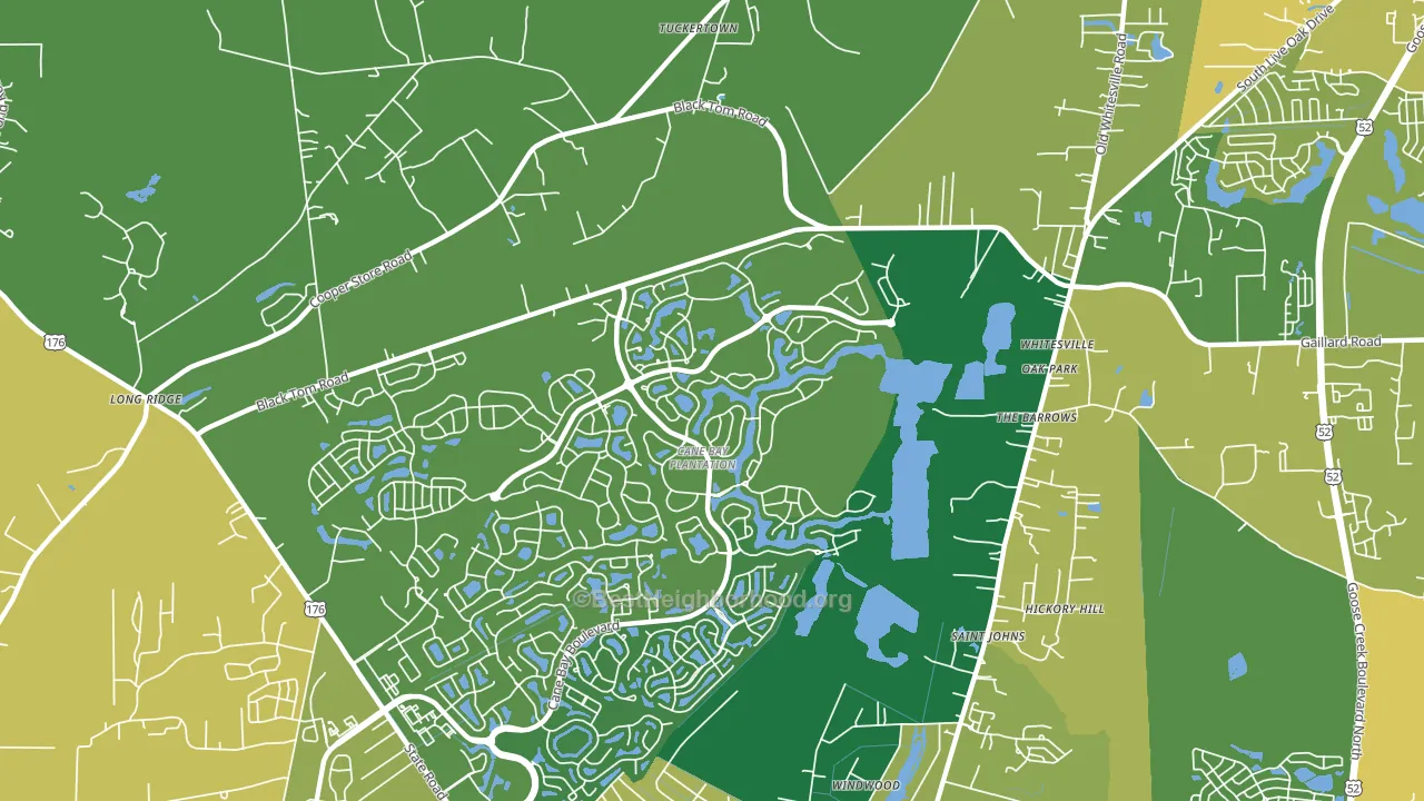 Whitesville, SC block-group voter-turnout map