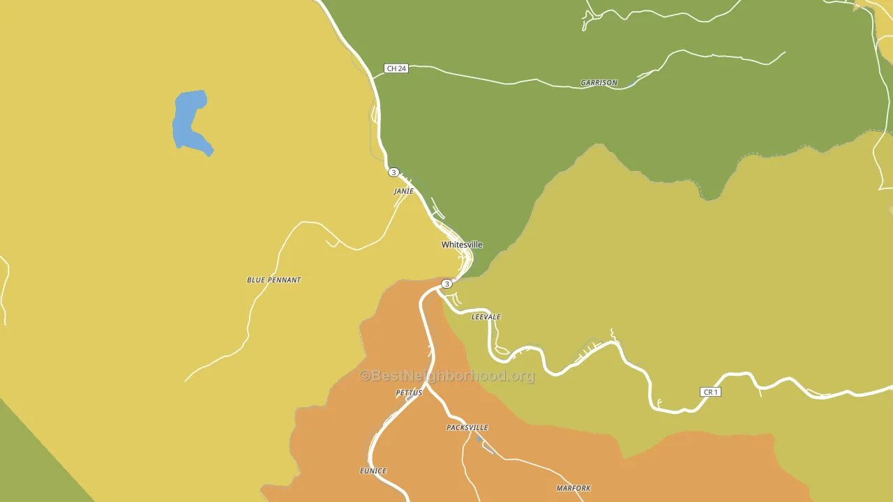 Whitesville, WV block-group voter-turnout map