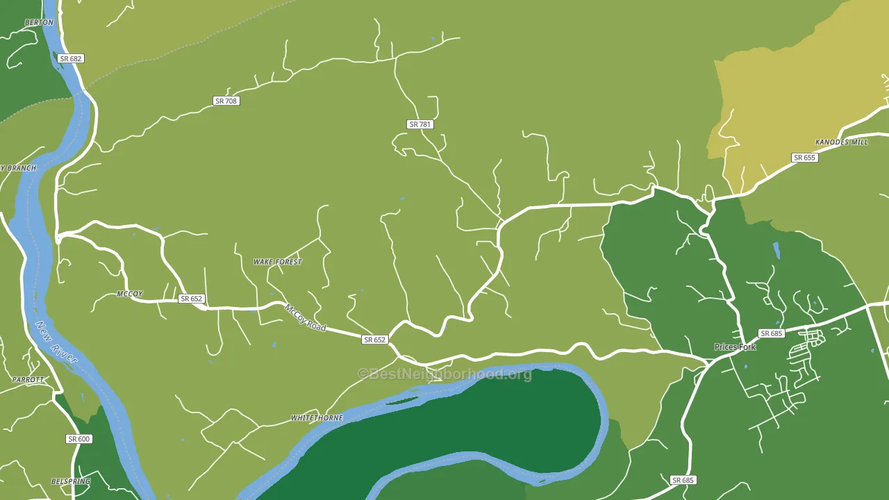 Whitethorne, VA block-group voter-turnout map