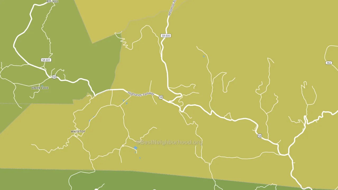 Whitetop, VA block-group voter-turnout map