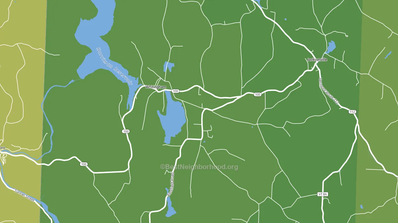 Whitingham, VT block-group voter-turnout map