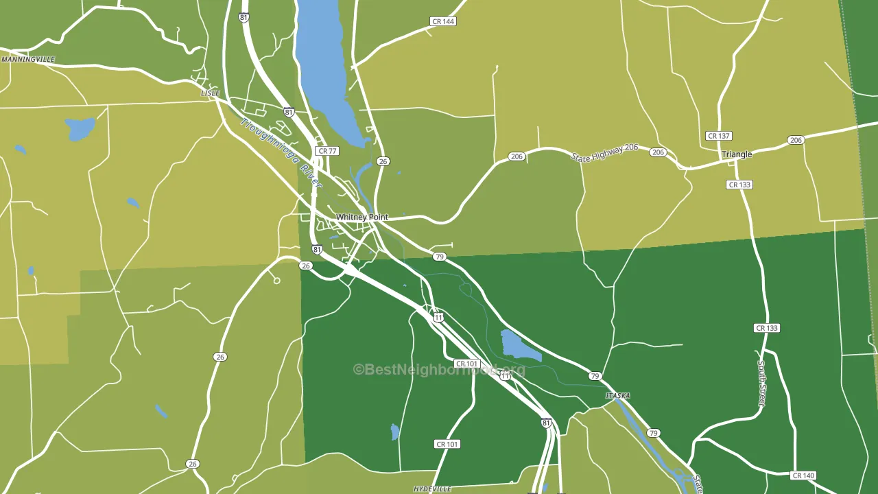 Whitney Point, NY block-group voter-turnout map
