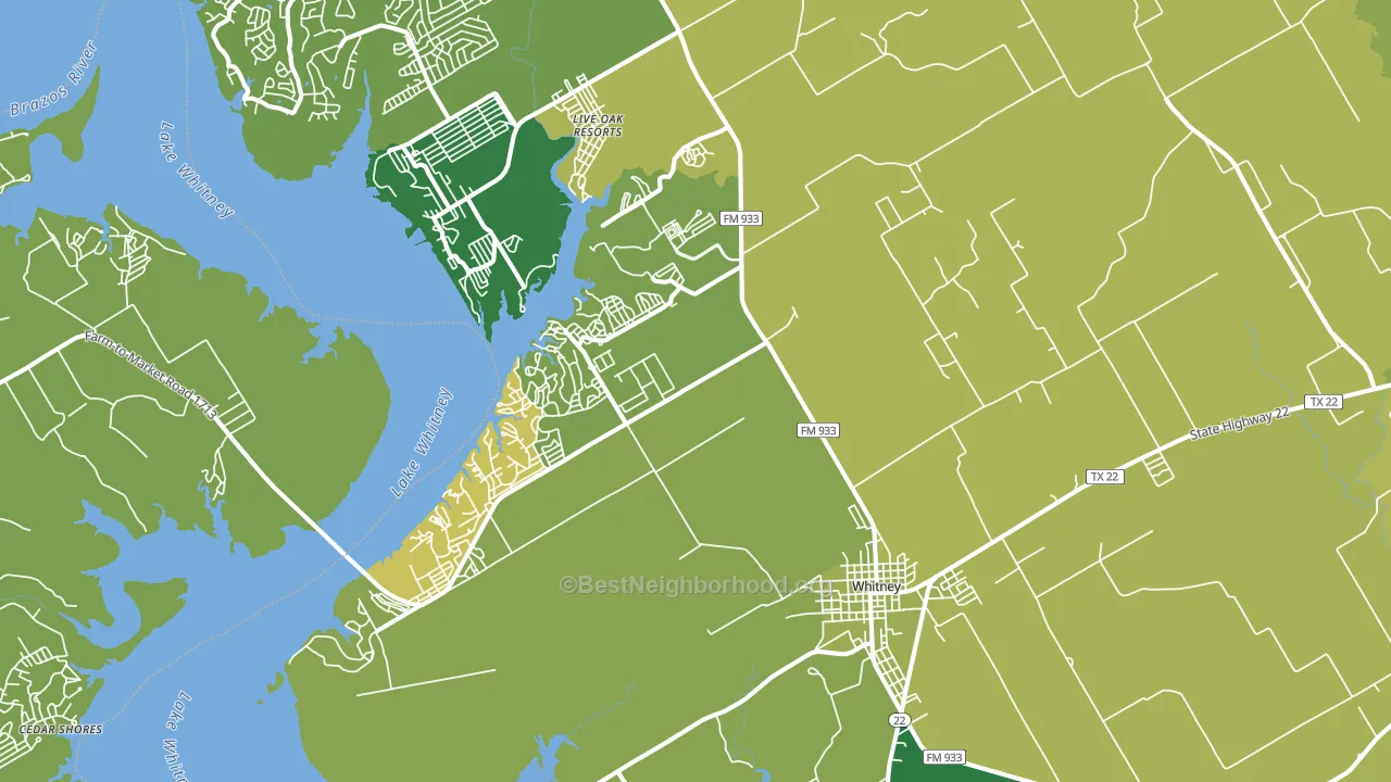Whitney, TX block-group voter-turnout map